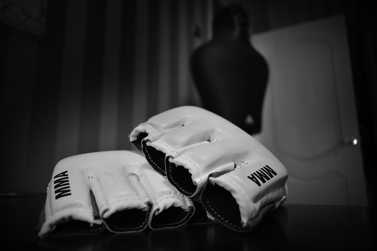 gloves, fighter, fight