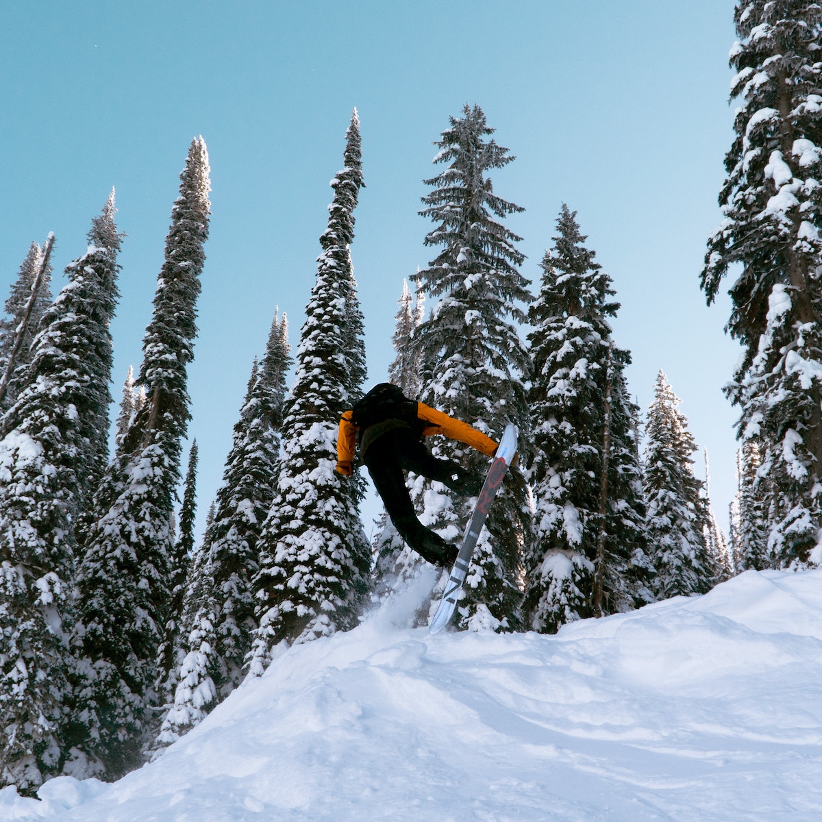 A Man Snowboarding Near Green Trees